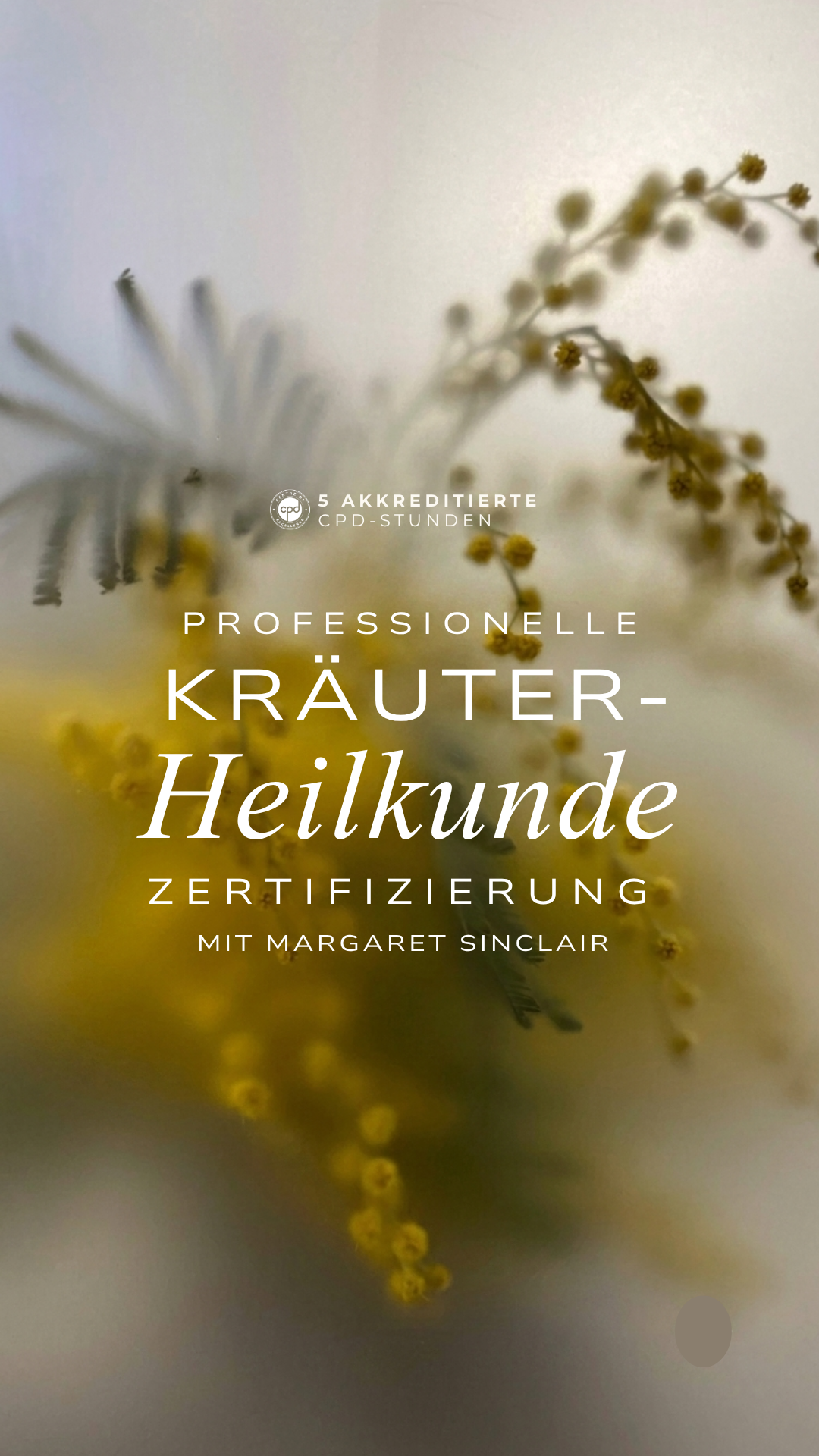 kräuterheilkunde